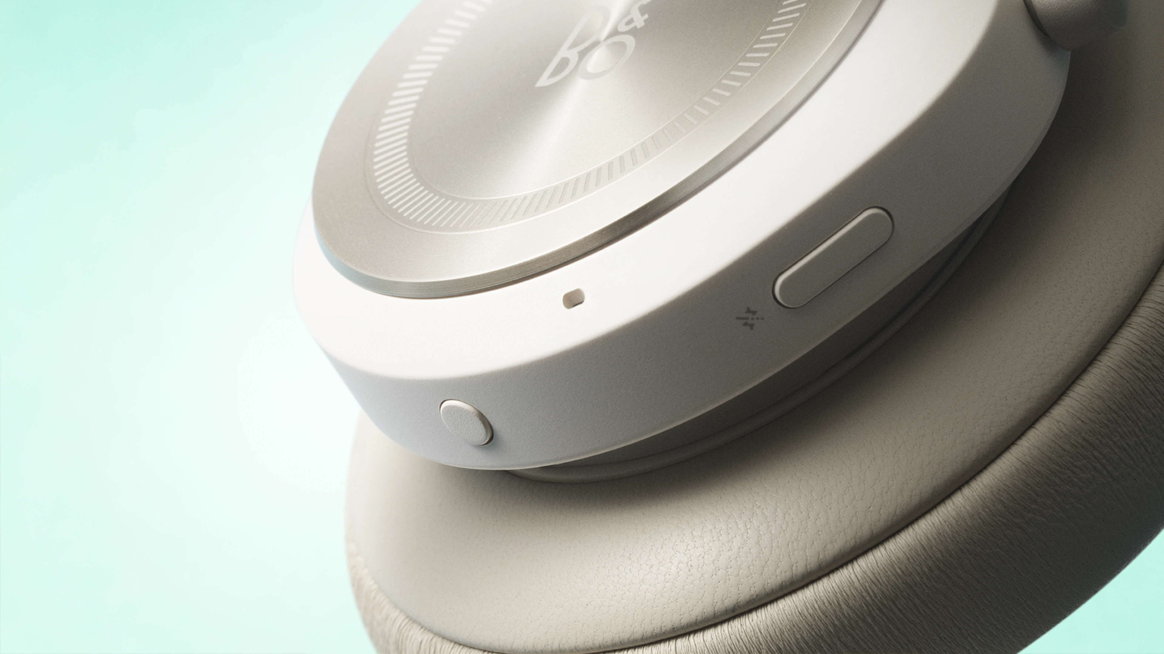 Beoplay HX — Timber — 1